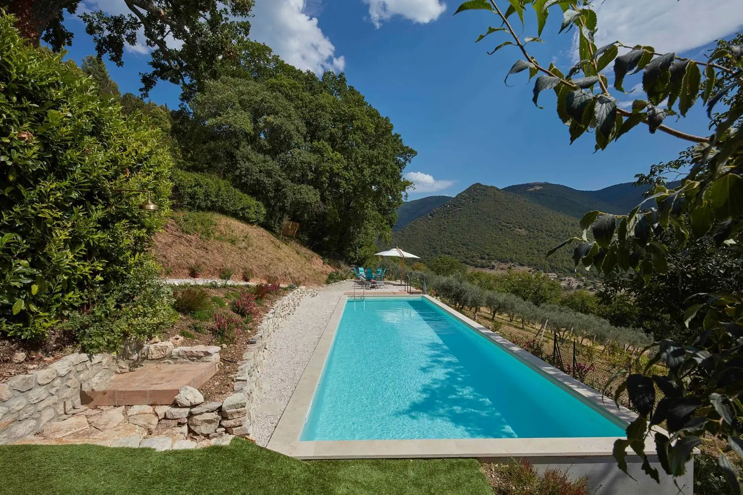 The pool seen from the garden, with wooded hills behind