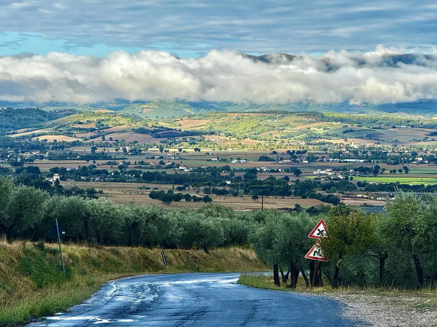 A country road through olive groves above the valley, with low cloud over the hills